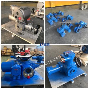 DZW60-24(380/660)礦用隔爆兼本質(zhì)安全型閥門(mén)